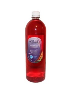 BAC-CIDE Solución concentrada con sales cuaternarias 240 ml